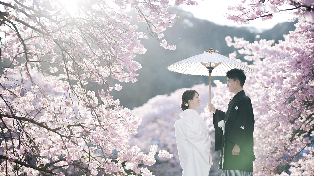 【静岡】2026年 河津桜フォトプランご予約スタートの写真