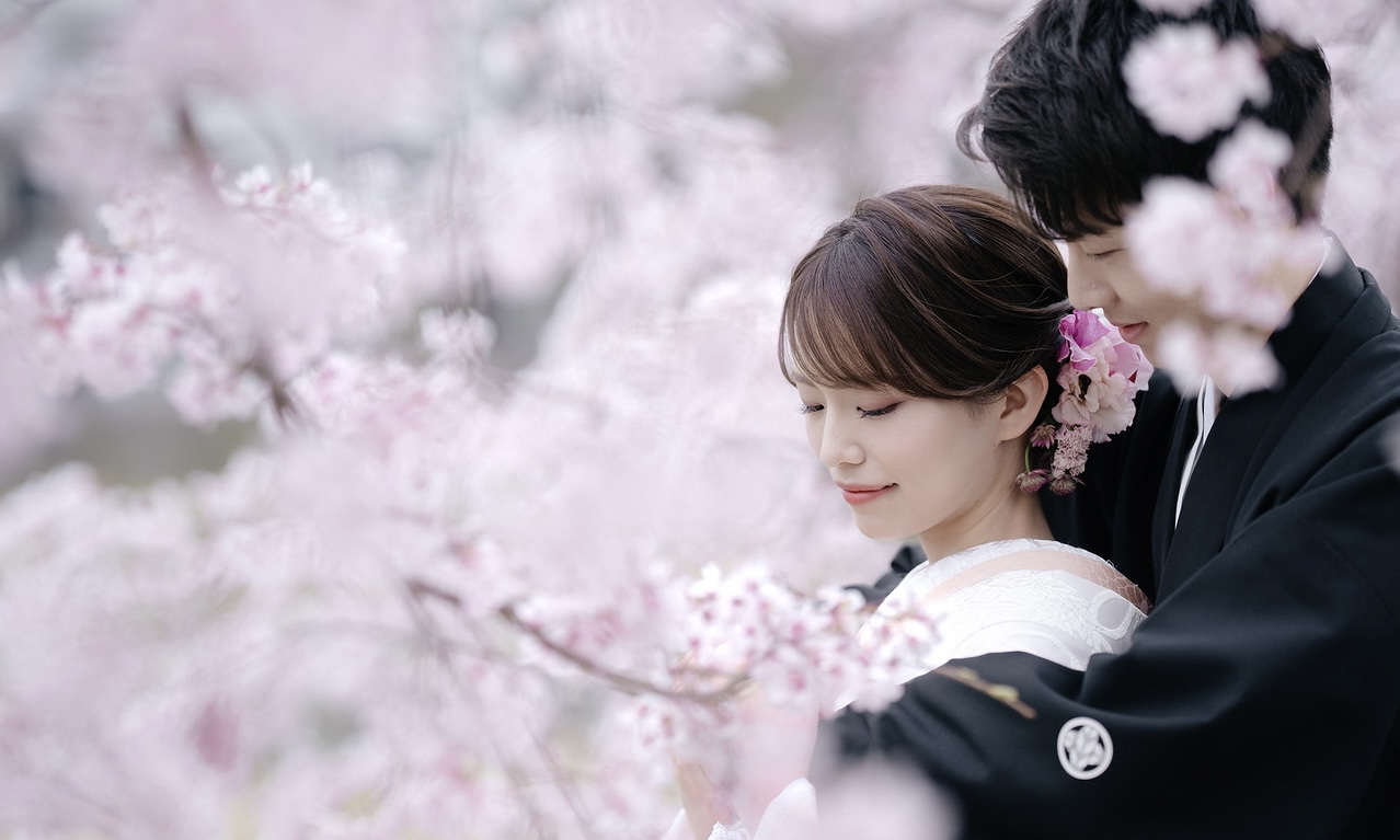 【京都】2026年 桜フォトプランご予約スタートの写真